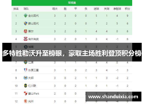多特胜勒沃升至榜眼，豪取主场胜利登顶积分榜