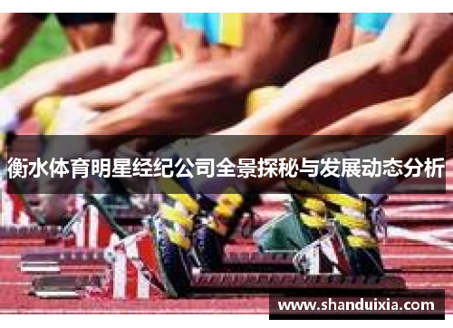 衡水体育明星经纪公司全景探秘与发展动态分析