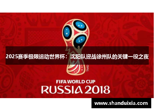 2025赛季极限运动世界杯：沈阳队迎战徐州队的关键一役之夜