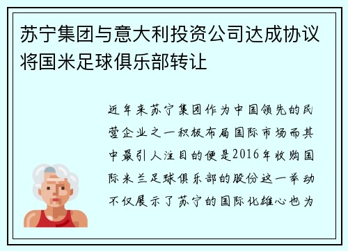 苏宁集团与意大利投资公司达成协议将国米足球俱乐部转让